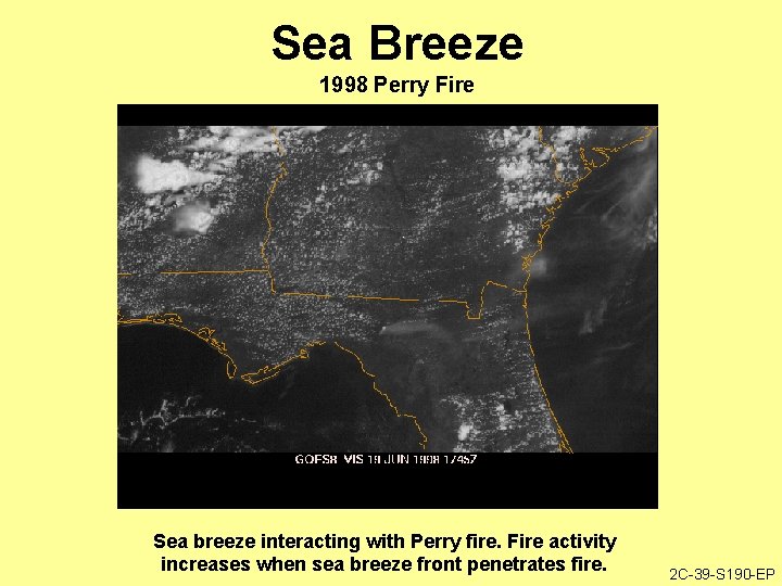 Sea Breeze 1998 Perry Fire Sea breeze interacting with Perry fire. Fire activity increases