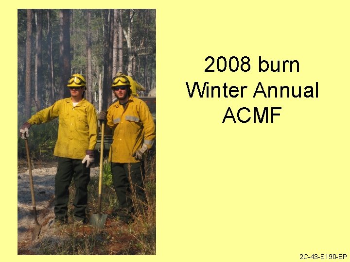 2008 burn Winter Annual ACMF 2 C-43 -S 190 -EP 