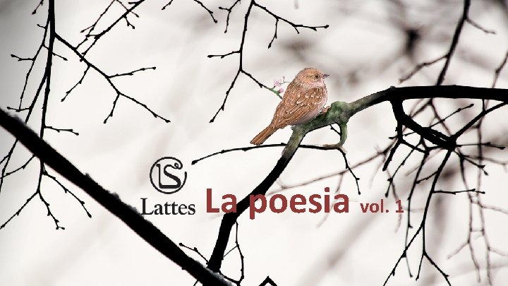 La poesia vol. 1 