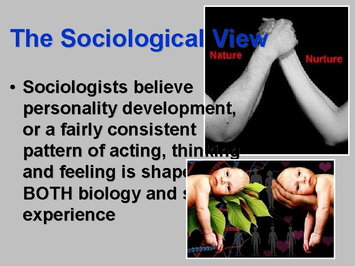 The Sociological View • Sociologists believe personality development, or a fairly consistent pattern of