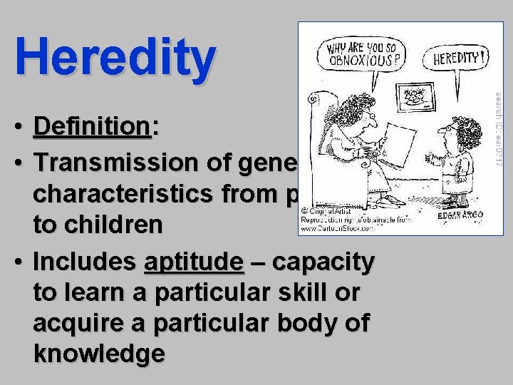 Heredity • Definition: • Transmission of genetic characteristics from parents to children • Includes