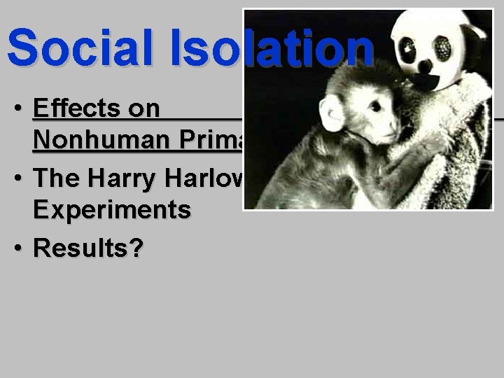 Social Isolation • Effects on Nonhuman Primates: • The Harry Harlow Experiments • Results?