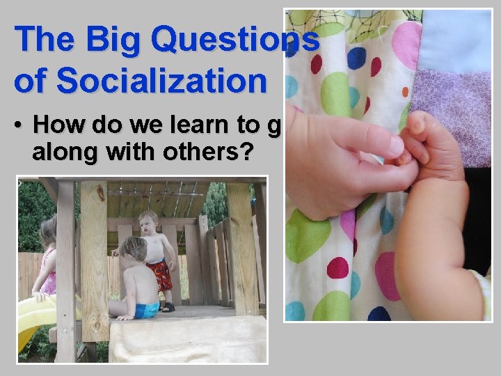 The Big Questions of Socialization • How do we learn to get along with
