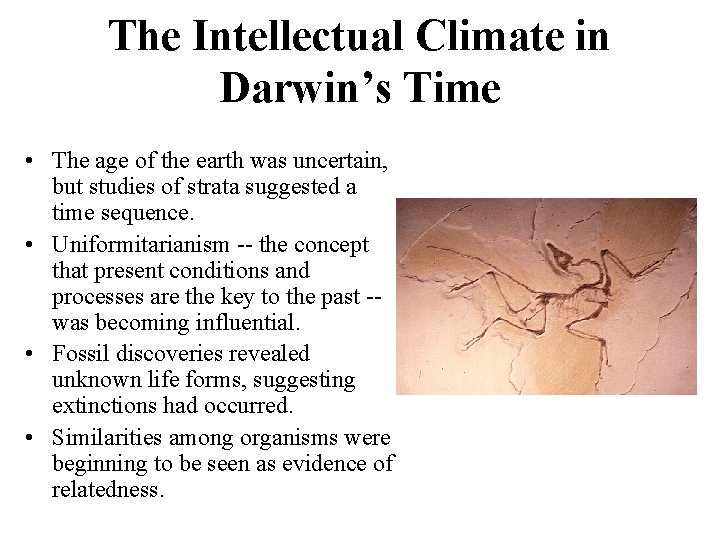 The Intellectual Climate in Darwin’s Time • The age of the earth was uncertain, The Intellectual Climate in Darwin’s Time • The age of the earth was uncertain,