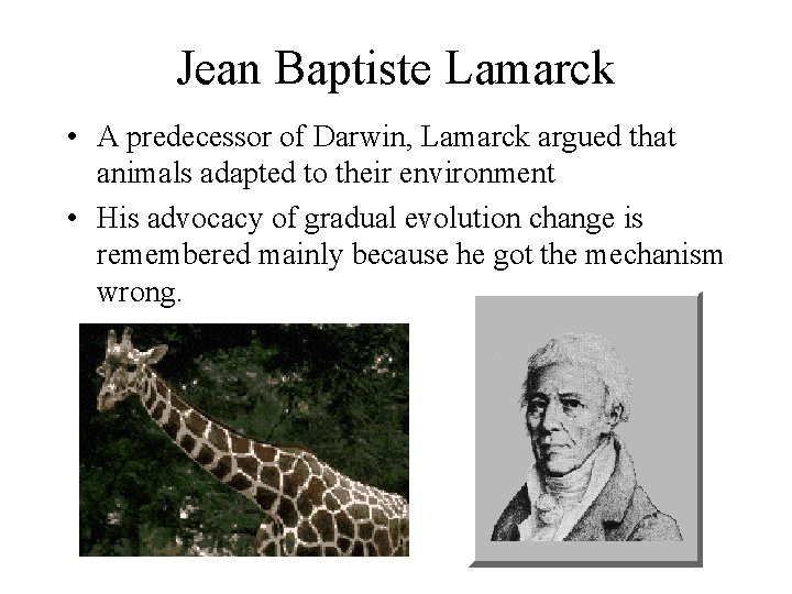 Jean Baptiste Lamarck • A predecessor of Darwin, Lamarck argued that animals adapted to Jean Baptiste Lamarck • A predecessor of Darwin, Lamarck argued that animals adapted to
