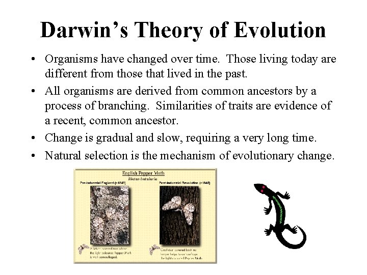 Darwin’s Theory of Evolution • Organisms have changed over time. Those living today are Darwin’s Theory of Evolution • Organisms have changed over time. Those living today are
