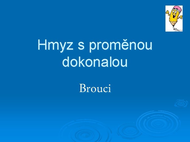 Hmyz s proměnou dokonalou Brouci 