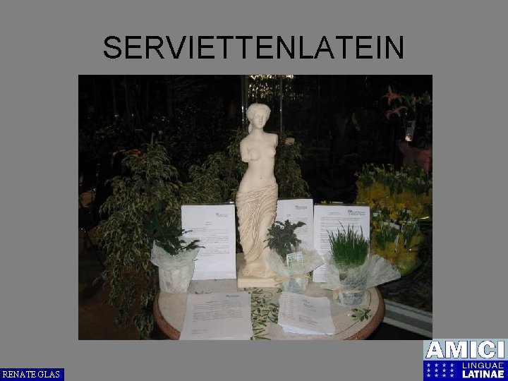 SERVIETTENLATEIN RENATE GLAS 