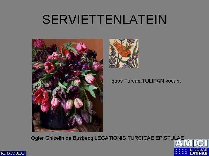 SERVIETTENLATEIN quos Turcae TULIPAN vocant Ogier Ghiselin de Busbecq LEGATIONIS TURCICAE EPISTULAE RENATE GLAS