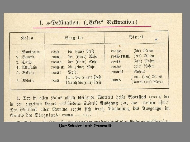 Gaar Schuster Latein Grammatik 