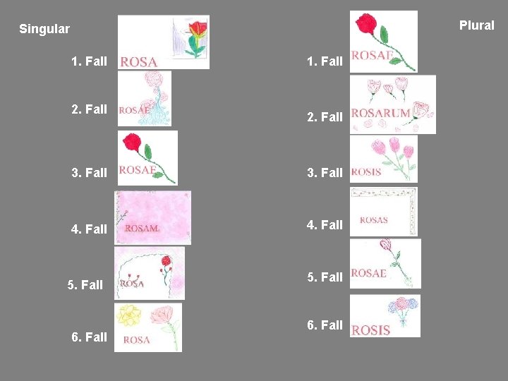 Plural Singular 1. Fall 2. Fall 3. Fall 4. Fall 5. Fall 6. Fall