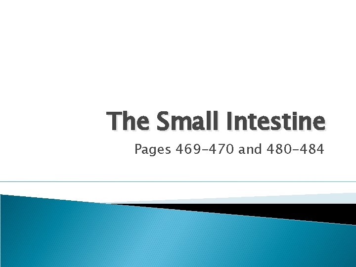 The Small Intestine Pages 469 -470 and 480 -484 