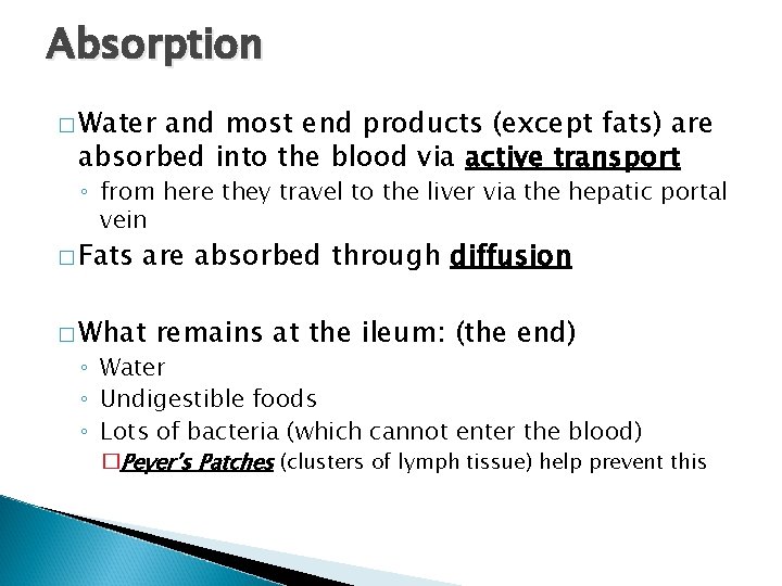 Absorption � Water and most end products (except fats) are absorbed into the blood