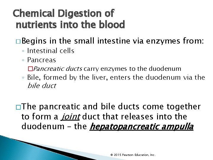 Chemical Digestion of nutrients into the blood � Begins in the small intestine via