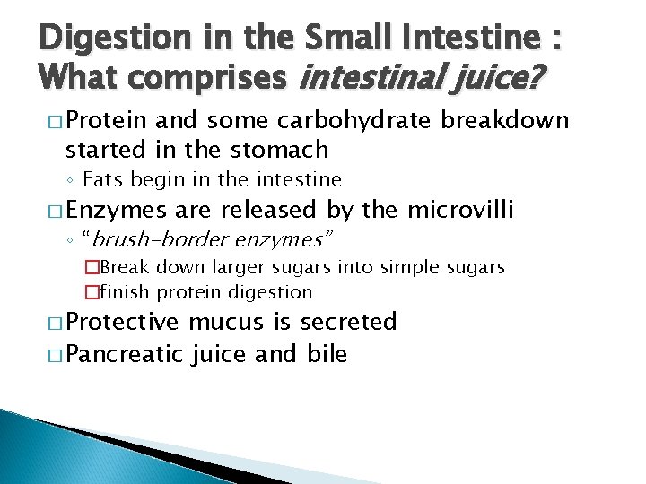 Digestion in the Small Intestine : What comprises intestinal juice? � Protein and some