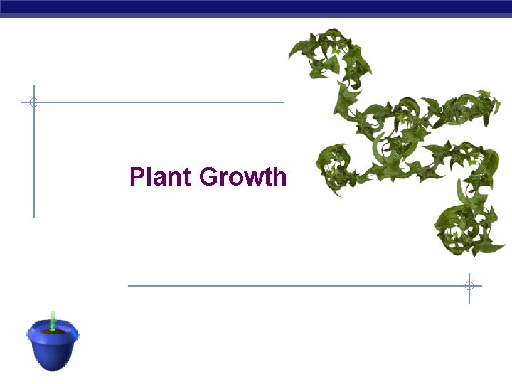 Plant Growth AP Biology 