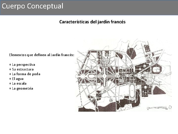 Cuerpo Conceptual Características del jardín francés Elementos que definen al Jardín francés: + La