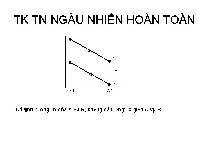 TK TN NGẪU NHIÊN HOÀN TOÀN + B 1 +B 2 A 1 A