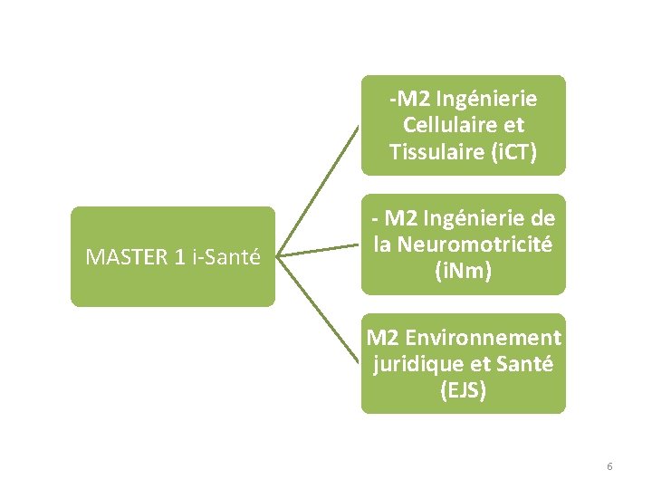 -M 2 Ingénierie Cellulaire et Tissulaire (i. CT) MASTER 1 i-Santé - M 2
