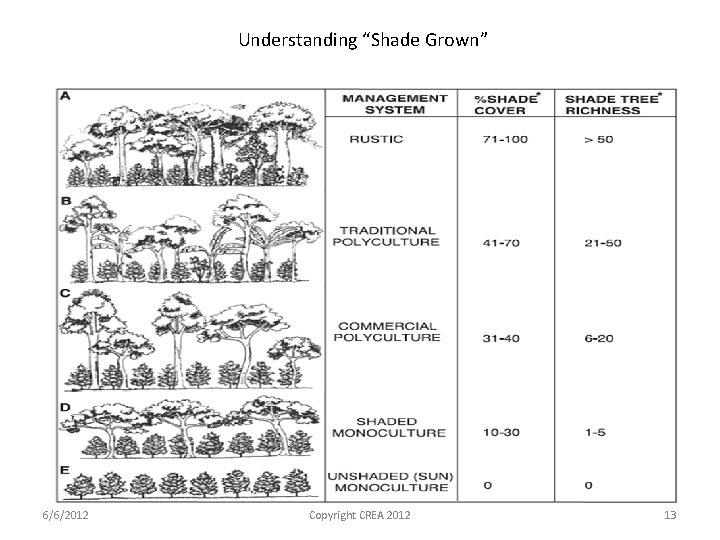 Understanding “Shade Grown” 6/6/2012 Copyright CREA 2012 13 