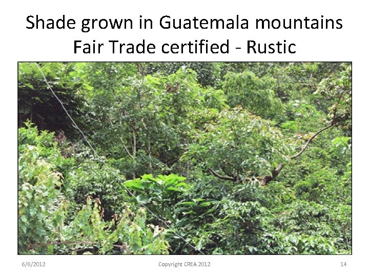 Shade grown in Guatemala mountains Fair Trade certified - Rustic 6/6/2012 Copyright CREA 2012