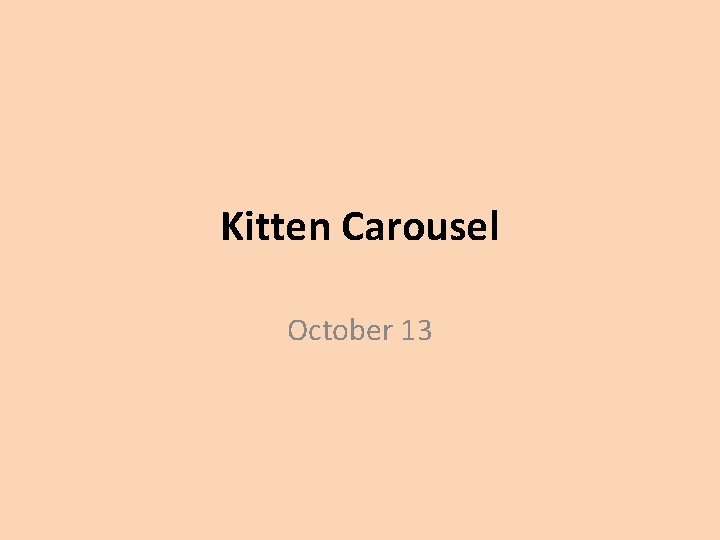 Kitten Carousel October 13 