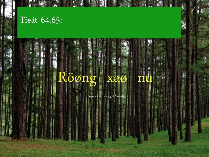 Tieát 64, 65: Röøng xaø nu ( Nguyeãn Trung Thaønh ) 