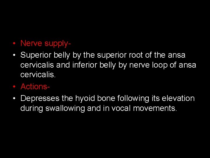  • Nerve supply • Superior belly by the superior root of the ansa