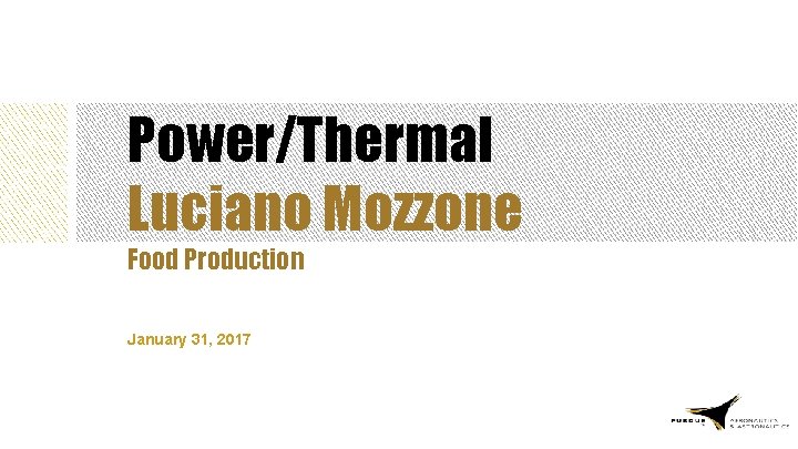 Power/Thermal Luciano Mozzone Food Production January 31, 2017 