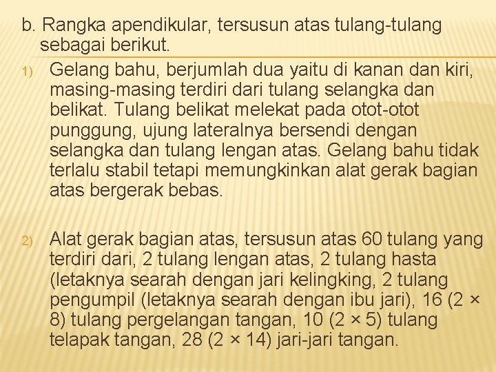 b. Rangka apendikular, tersusun atas tulang-tulang sebagai berikut. 1) Gelang bahu, berjumlah dua yaitu