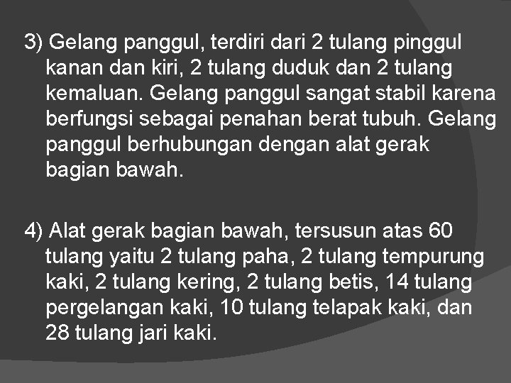 3) Gelang panggul, terdiri dari 2 tulang pinggul kanan dan kiri, 2 tulang duduk