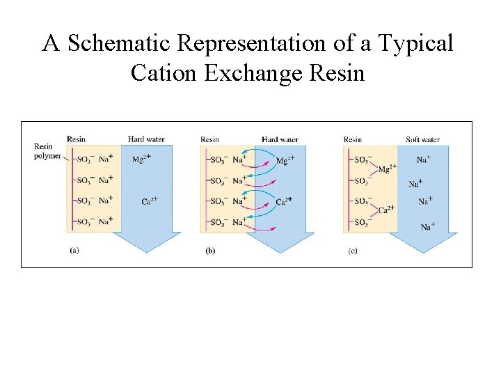 A Schematic Representation of a Typical Cation Exchange Resin 
