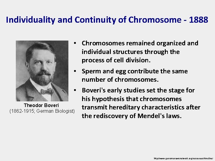 Individuality and Continuity of Chromosome - 1888 • Chromosomes remained organized and individual structures
