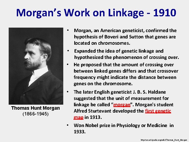 Morgan’s Work on Linkage - 1910 • Morgan, an American geneticist, confirmed the hypothesis