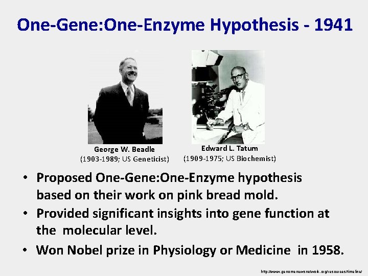 One-Gene: One-Enzyme Hypothesis - 1941 George W. Beadle (1903 -1989; US Geneticist) Edward L.