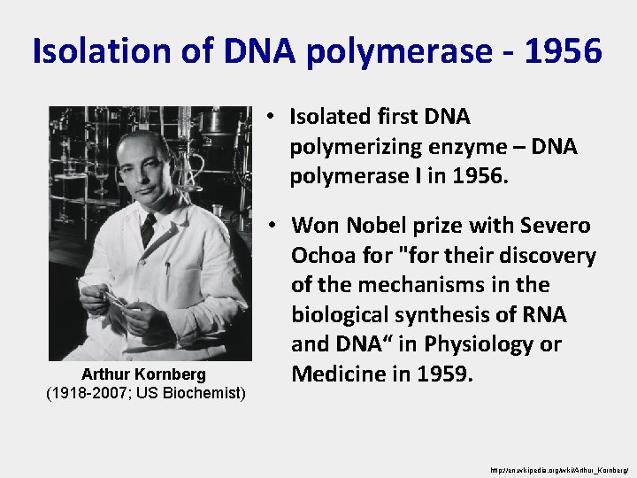 Isolation of DNA polymerase - 1956 • Isolated first DNA polymerizing enzyme – DNA