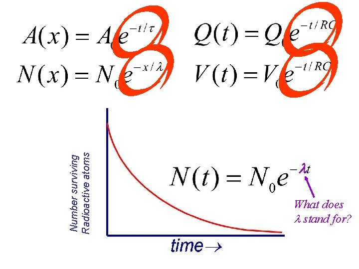 Number surviving Radioactive atoms What does stand for? 