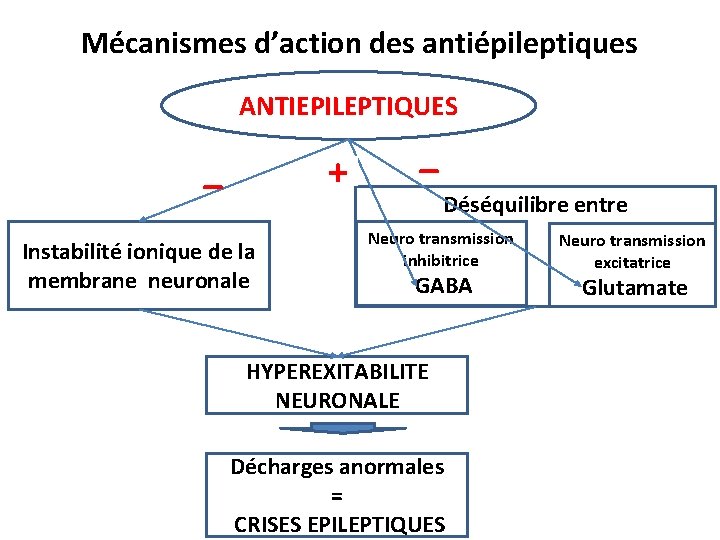 Mécanismes d’action des antiépileptiques ANTIEPILEPTIQUES _ + Instabilité ionique de la membrane neuronale _