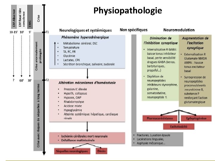 Physiopathologie 