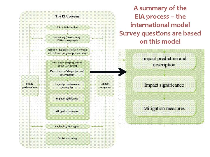 A summary of the EIA process – the international model Survey questions are based