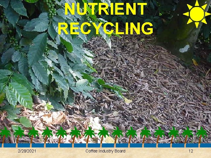 NUTRIENT RECYCLING 2/28/2021 Coffee Industry Board 12 