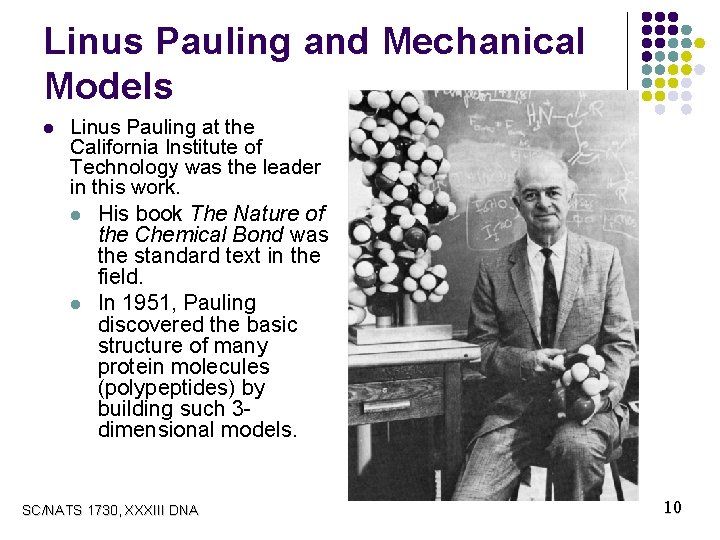 Linus Pauling and Mechanical Models l Linus Pauling at the California Institute of Technology