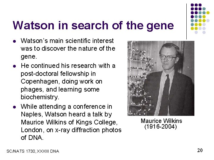 Watson in search of the gene l l l Watson’s main scientific interest was