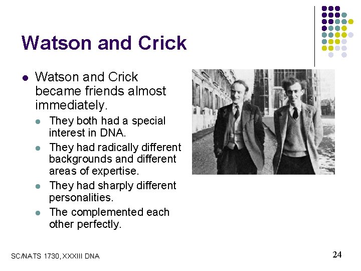 Watson and Crick l Watson and Crick became friends almost immediately. l l They