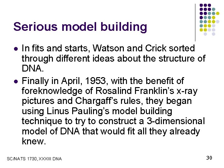 Serious model building l l In fits and starts, Watson and Crick sorted through