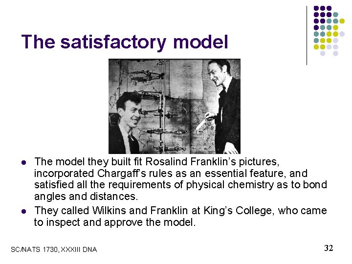 The satisfactory model l l The model they built fit Rosalind Franklin’s pictures, incorporated