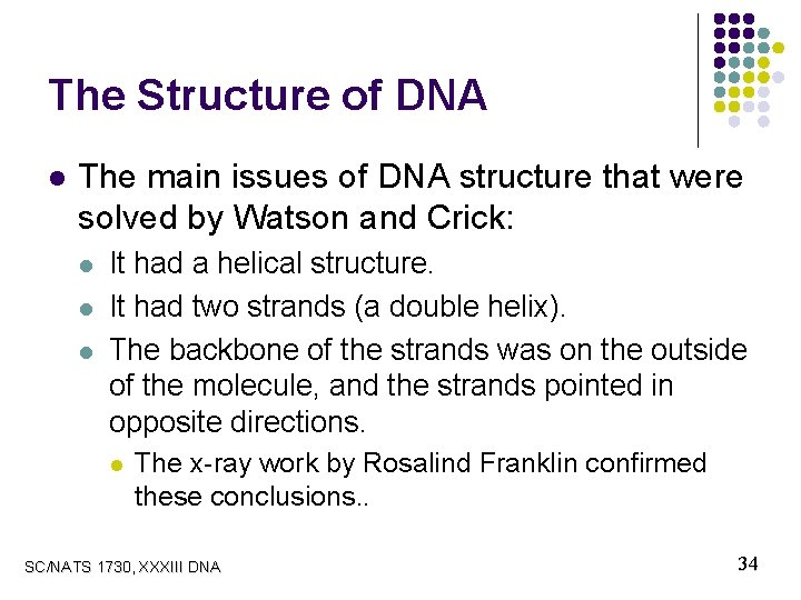 The Structure of DNA l The main issues of DNA structure that were solved