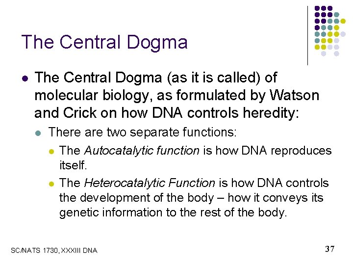 The Central Dogma l The Central Dogma (as it is called) of molecular biology,
