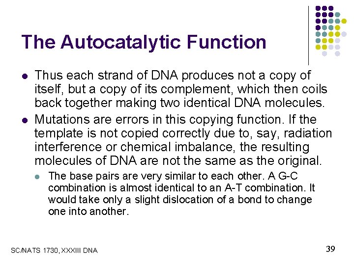 The Autocatalytic Function l l Thus each strand of DNA produces not a copy