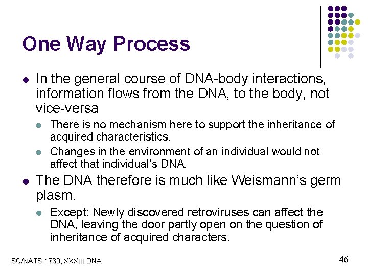 One Way Process l In the general course of DNA-body interactions, information flows from